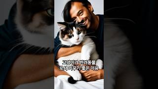 고양이가 반려동물로서 키우기 좋은 이유. 애완동물로 고양이가 최고인 이유. Shorts.