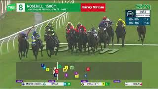 Festival Stakes 2024 - PRIVATE EYE (3YO+ Qlty G3) Group 3 Rosehill 30 November