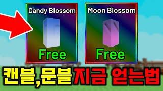 지금 나온 캔디블라썸 문블라썸 무료로 얻는법 [그로우 어 가든]