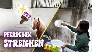 WIR STREICHEN DIE PFERDEBOX !