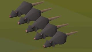 RAT5