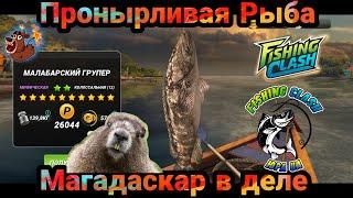 Событие Экстрим на Рифе / Локация Мадагаскар / Fishing Clash: Реальная рыбалка