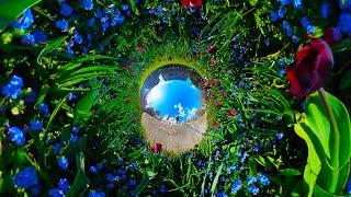 7 creative TINY PLANET videos | Insta360 X4