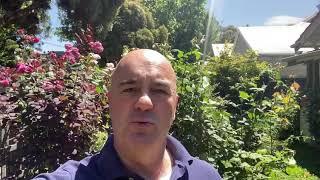 Meet Phil Robison - Regional Property Buyers Advocate