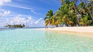 Ocean Ambience on a Tropical Island in Panama