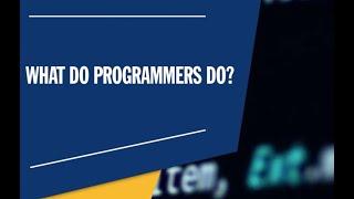 What Does a Programmer Do? The Life of a Programmer