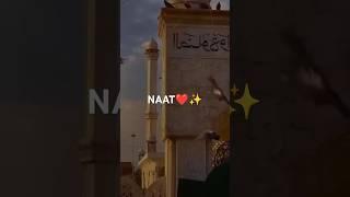NAAT️#allah #deen #prophetmuhammad #islam | LIGHT OF ISLAM 25 |