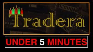 TRADERA UNDER 5 MINUTES: Brief Overview