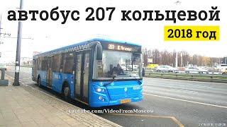 Автобус 207 (кольцевой) дворец спорта Мегаспорт // 31 октября 2018