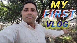 my first vlog viral kaise kare 2024 || how to viral my first vlog