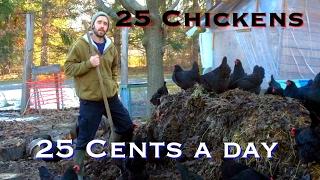 25 Chickens - 25 Cents a day (and they make TONS of compost!)