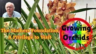 A Visit to the Mathers Foundation Orchid Glasshouses