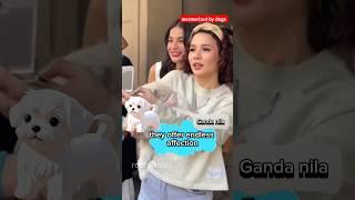 Karylle & Anne Curtis Dogs #shorts #karylle #annecurtis #viralvideo