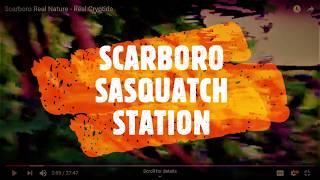 SCARBORO LIVE #5 SCREENSHOTS !