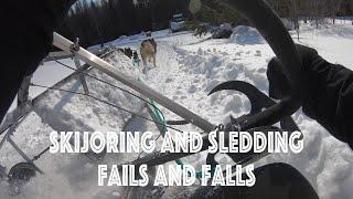 Skijoring and Dog Sledding Fails and Falls