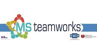 MS TeamWorks