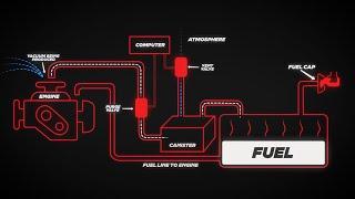 What is the EVAP System on Your Car? How Does It Work? & Why is it Important? | AutoLine Pro