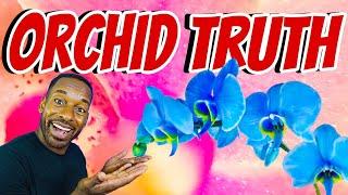 ORCHID CARE MISTAKES : DON’T CUT YOUR ORCHID