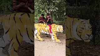 tiger  horn  prank #shorts