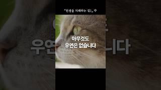 지혜의 말씀 153 | 『인생을 지배하는 길1』"아무것도 우연은 없습니다 "  #한국교문사 #마음 #마음공부 #감사 #행복 #건강