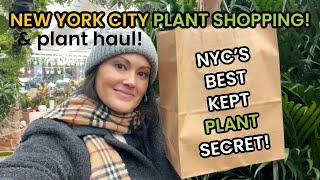 New York City's Best Kept Secret! Plant Shops In the Flower District - Plant Shopping & Plant Haul