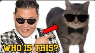 Oiiaoiia Cat Sings PSY- GANGNAM STYLE(강남스타일) M/V #gangamstyle #oiiaoiia #singingcat #funnycat