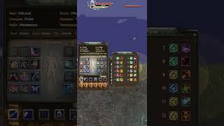ТОП СИН С ФИНАЛ ПУХОЙ 80/80 TribunaL. ШЕЙХ НА СИНЕ С ТОП ШМОТОМ #mmorpg   #пв #shorts