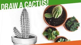 How To Draw A Cactus Plant! Draw A Cactus In A Pot!