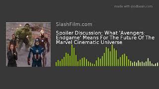 Spoiler Discussion: What 'Avengers: Endgame' Means For The Future Of The Marvel Cinematic Universe