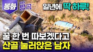 [경북 봉화] 토종꿀 한 번 따보겠다고 산 깊은 오지 꼭대기에 집 한 채 짓고 눌러앉은 아빠 따라 절벽으로 떠난 아들｜소천면｜#한국기행 #방방곡곡