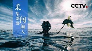 《采集部落闯海人》深海游猎故事 | CCTV纪录