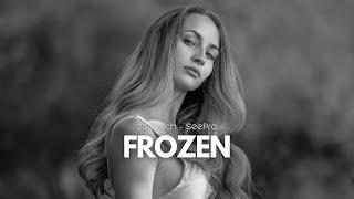 SEE Pro - FROZEN ( Remix ) ft.2Scratch