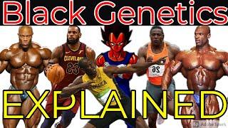 BLACK GENETICS EXPLAINED