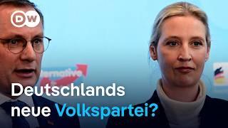 AfD-Experte: "Die AfD will die CDU zerstören!" | DW Nachrichten