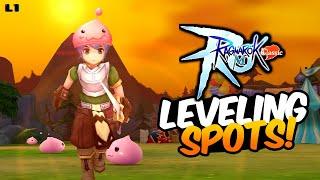 Leveling Guide from 1 to 100! - Ragnarok M Classic