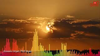 PLR Music 01, Acoustic Organ ️Royalty-Free Best Audio Tracks, Non-Copyright Background Music