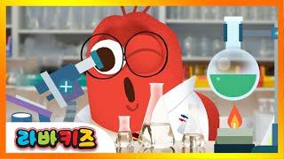 [NEW!] 직업 노래 | 라바키즈 | 우리는 커서 뭐가 될까요? | 실사애니메이션 | 인기동요