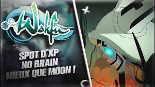 Nouveau spot d'XP de fou sur Wakfu