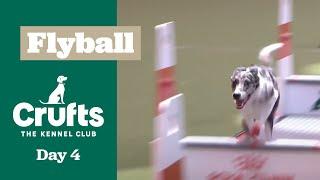 Flyball Final | Crufts 2025