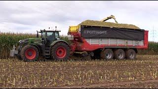 Maïs 2024 | Xavier Schoonbroodt met 5x Fendt 900 serie met 3 assers | Krone Big X | Maize harvest