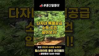 다자녀 특별공급 소득 조건 #shorts #부동산 #아파트