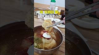 꼭 가봐야 할 밀면 BEST 1탄 [ #주관식당 #포항맛집 ]