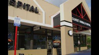 Sunset Animal Hospital