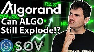 Algorand: What is ALGO's Future Potential?? 