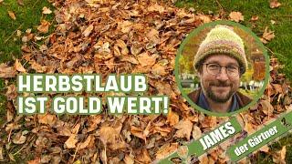 Mit dem Rasenmäher aus Laub wertvollen Mulch machen I James der Gärtner