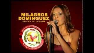 Milagros Dominguez Spot - Diputada de Ultramar 2012-2016