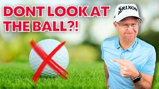 What Part Of The Golf Ball Should You ACTUALLY Look At?