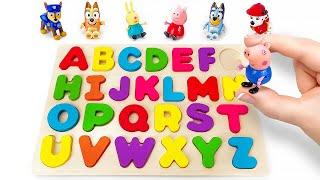 Learn ABC with Peppa Pig, Bluey and PAW Patrol | Alphabet Puzzle | Preschool Toddler Learning Videos