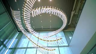 Yellow Goat Design/RMW Architects - Intuitive Surgical, Sunnyvale CA