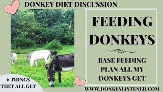 Feeding Donkeys {6 Things ALL my Donkeys get Fed} Base Feeding Plan for Donkeys